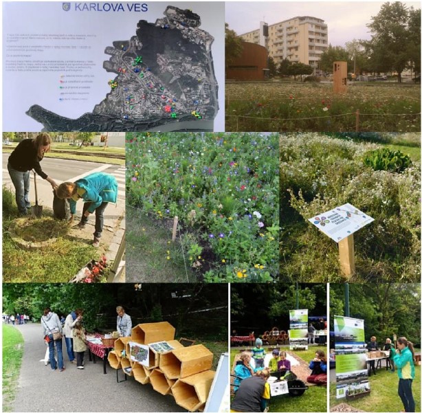 Image showcasing Started from the bottom: a new track for strategic green space planning ...